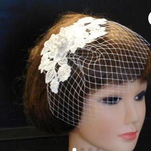 Birdcage Veil~Bridal Lace Pearl Crystal Fascinator